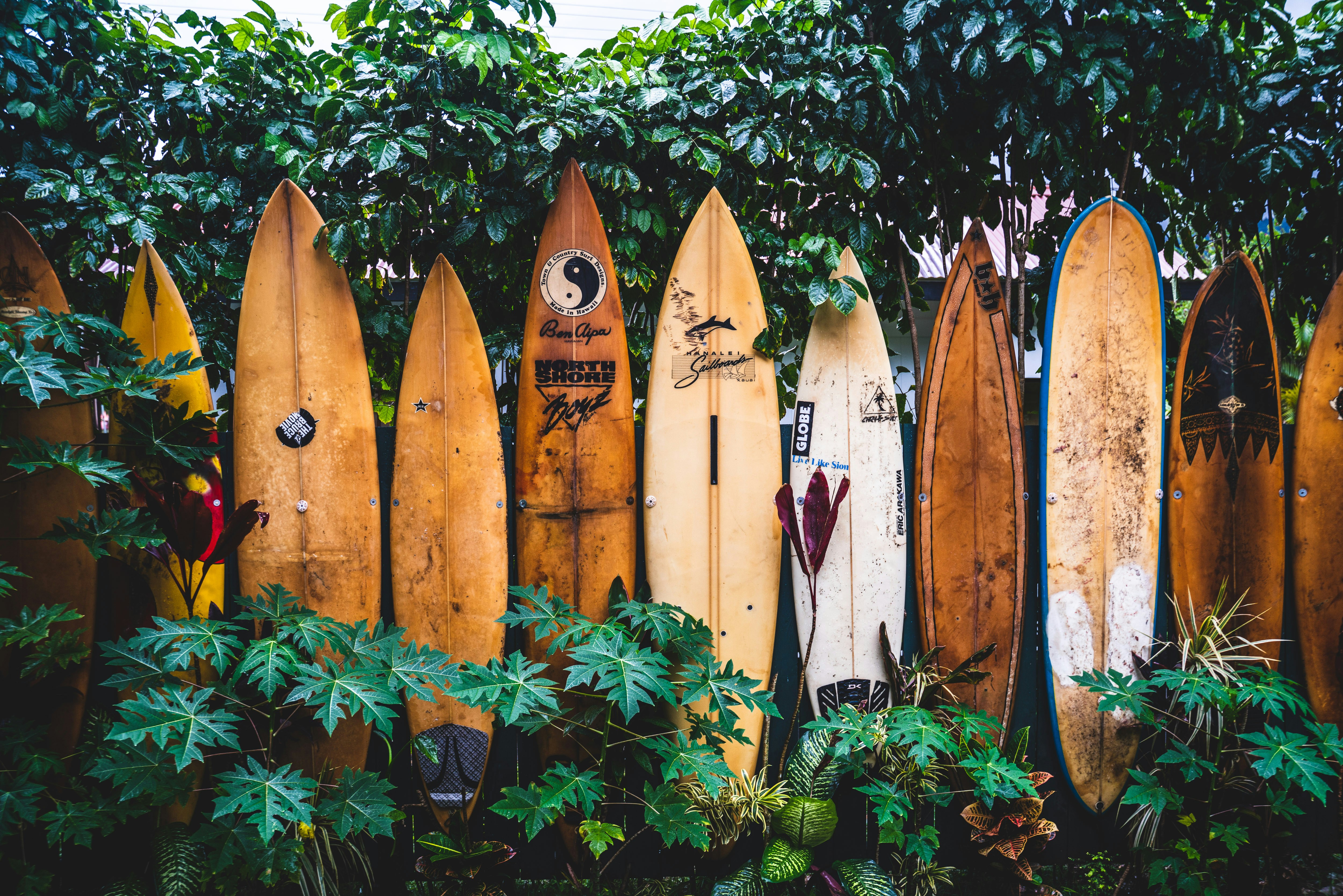 Beginner surfers catching a small wave on a Kauaʻi beach